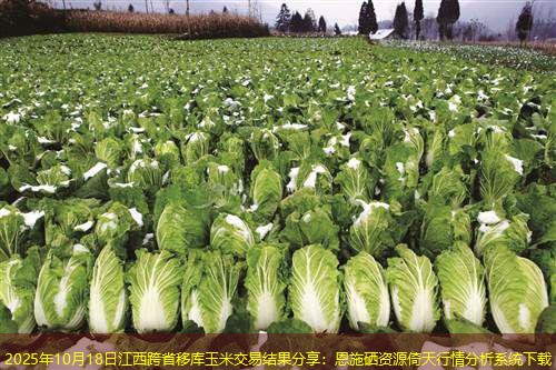 2025年10月18日江西跨省移库玉米交易结果分享