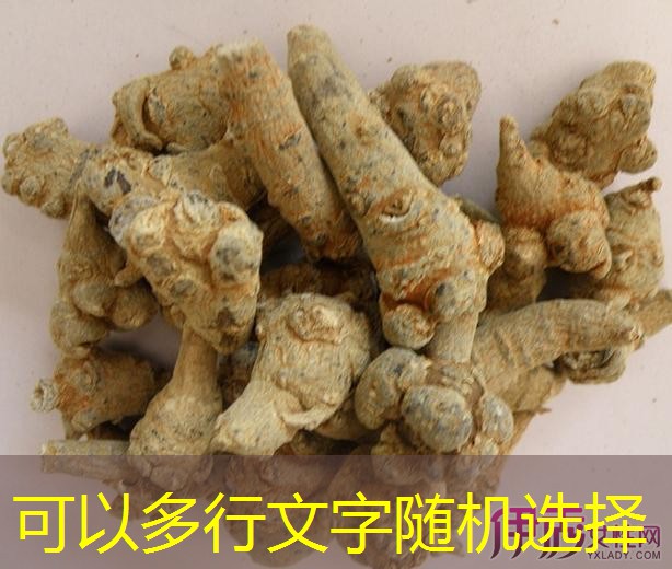 玉米利空已成定局 利多因素蓄势待发（2026年03月15日）