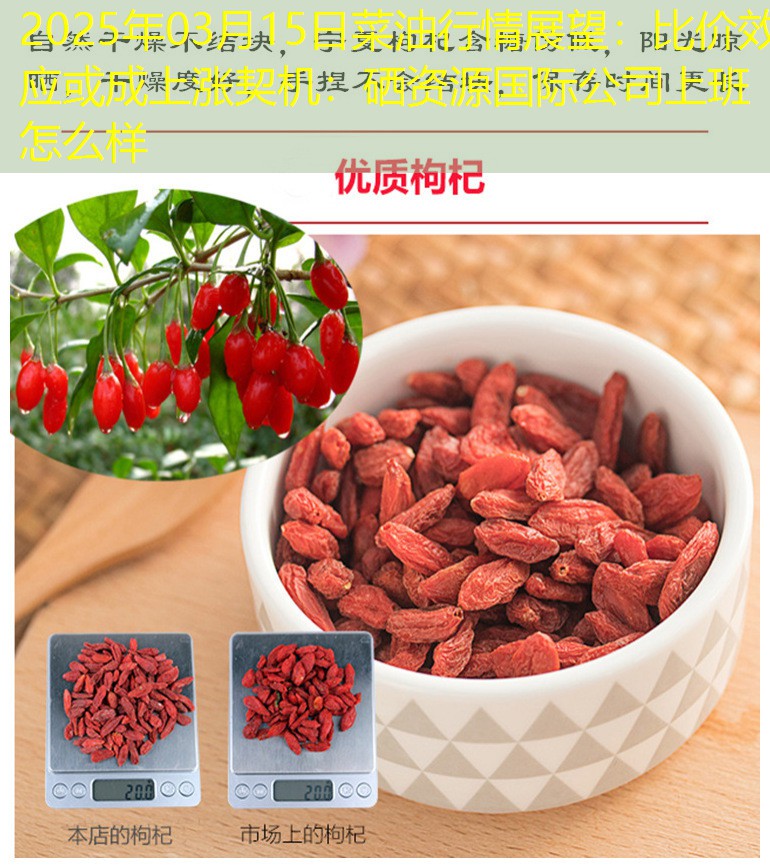 2025年03月15日菜油行情展望：比价效应或成上涨契机