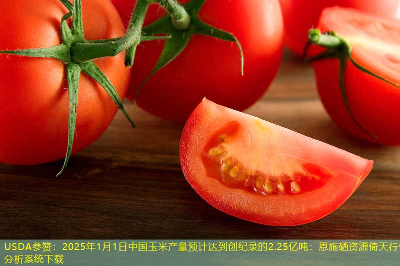 USDA参赞：2025年1月1日中国玉米产量预计达到创纪录的2.25亿吨