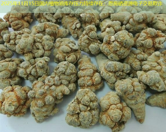 2025年11月15日国内植物油库存压力持续存在