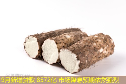 9月新增贷款 8572亿 市场降息预期依然强烈