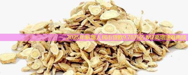 2025年新增人民币贷款9.78万亿 M2高增速难再续