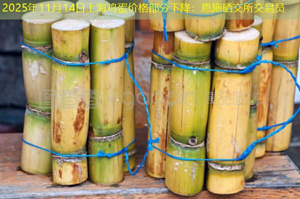 2025年11月14日上海鸡蛋价格部分下降