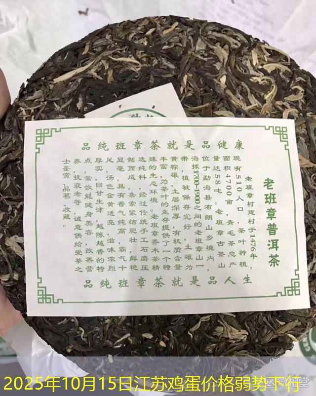 2025年10月15日江苏鸡蛋价格弱势下行