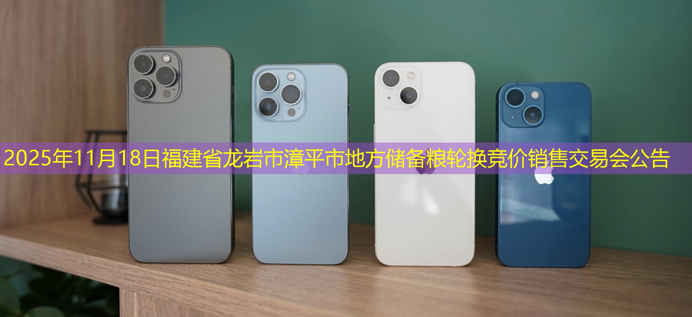 2025年11月18日福建省龙岩市漳平市地方储备粮轮换竞价销售交易会公告