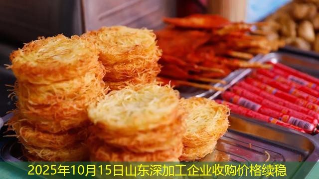 2025年10月15日山东深加工企业收购价格续稳