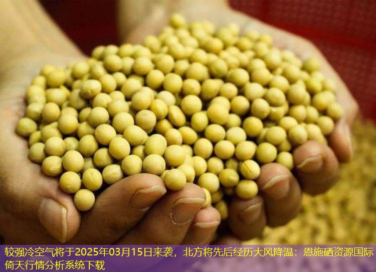 较强冷空气将于2025年03月15日来袭，北方将先后经历大风降温