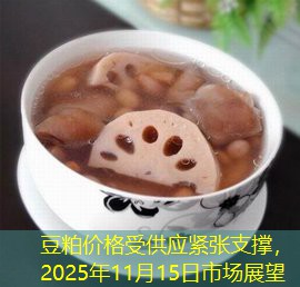 豆粕价格受供应紧张支撑，2025年11月15日市场展望
