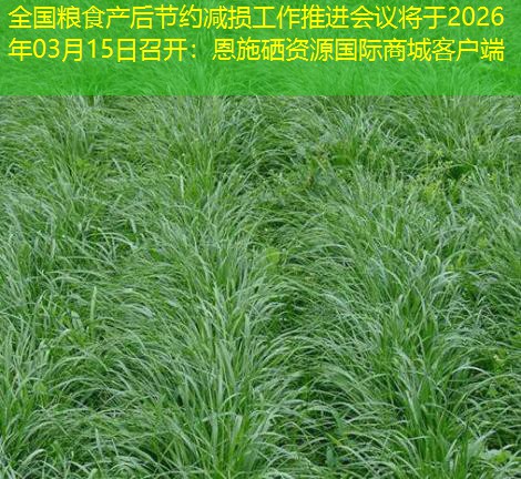 全国粮食产后节约减损工作推进会议将于2026年03月15日召开