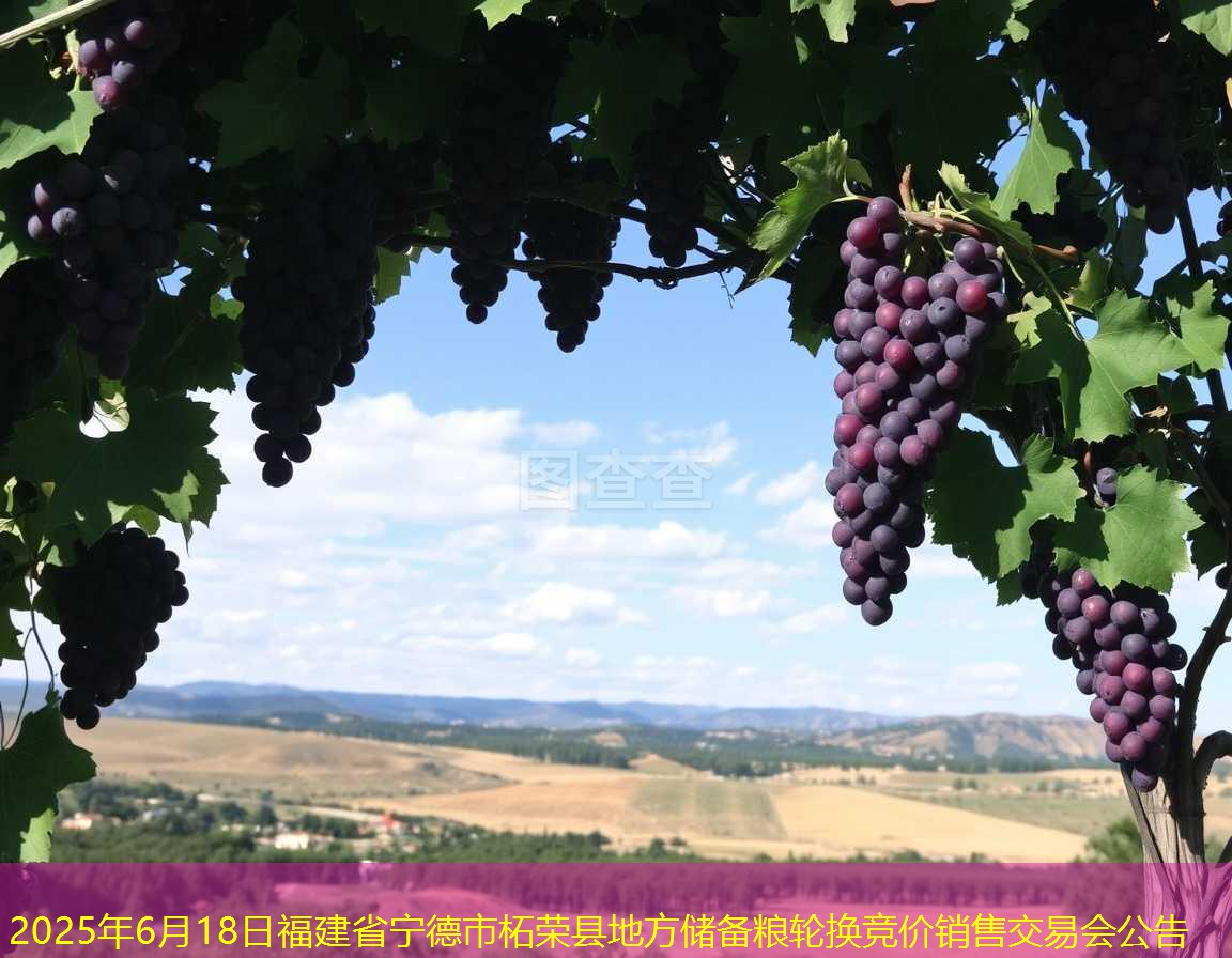2025年6月18日福建省宁德市柘荣县地方储备粮轮换竞价销售交易会公告