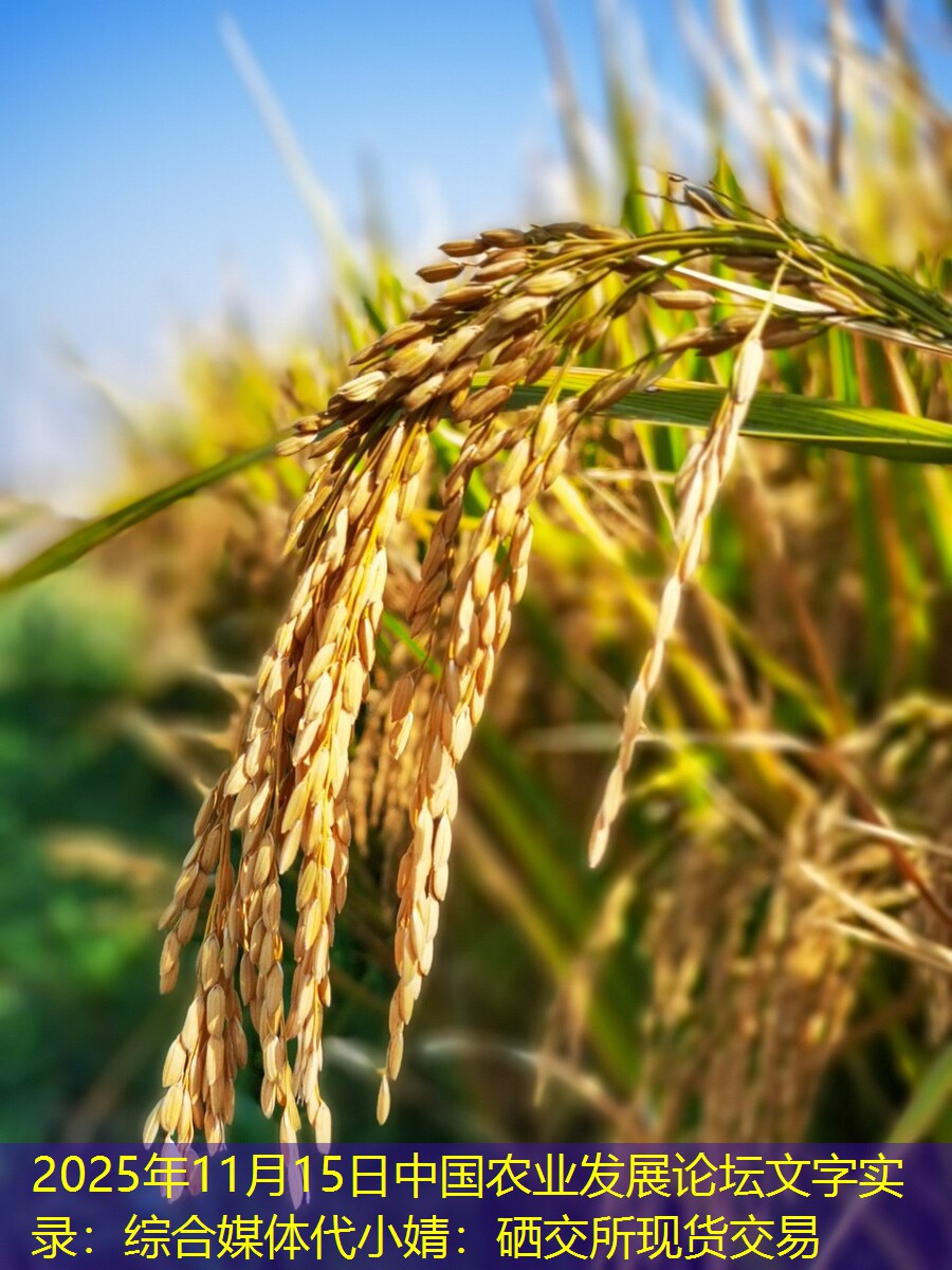 2025年11月15日中国农业发展论坛文字实录：综合媒体代小婧