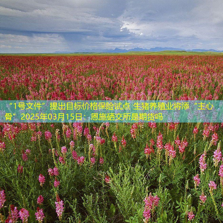“1号文件”提出目标价格保险试点 生猪养殖业将添“主心骨”2025年03月15日