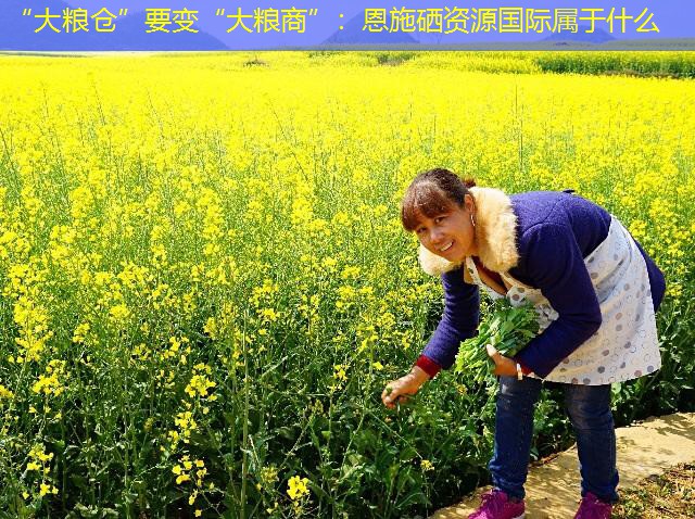 “大粮仓”要变“大粮商”