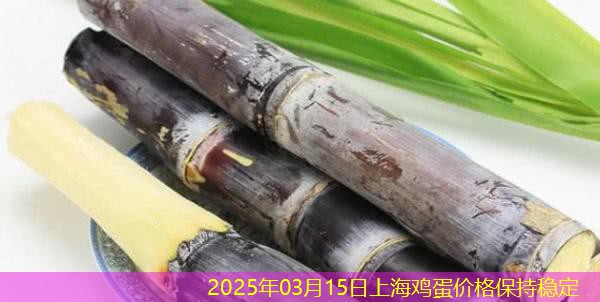 2025年03月15日上海鸡蛋价格保持稳定