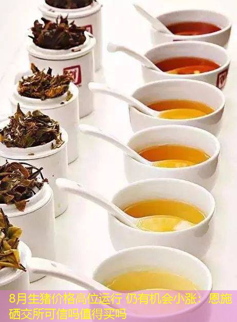 8月生猪价格高位运行 仍有机会小涨