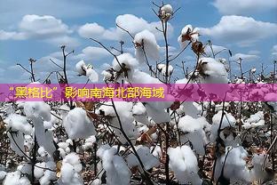 “黑格比”影响南海北部海域