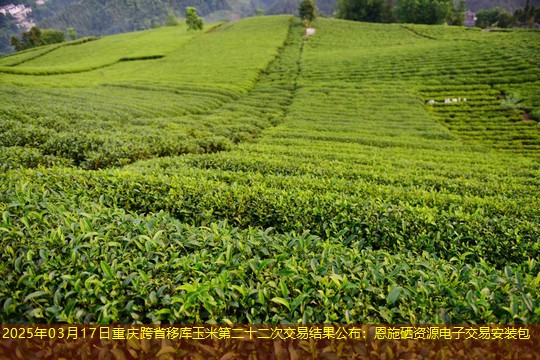 2025年03月17日重庆跨省移库玉米第二十二次交易结果公布