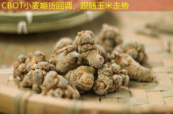 CBOT小麦期货回调，跟随玉米走势