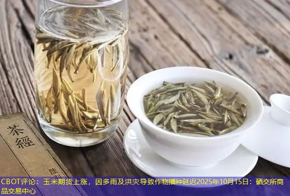 CBOT评论：玉米期货上涨，因多雨及洪灾导致作物播种延迟2025年10月15日