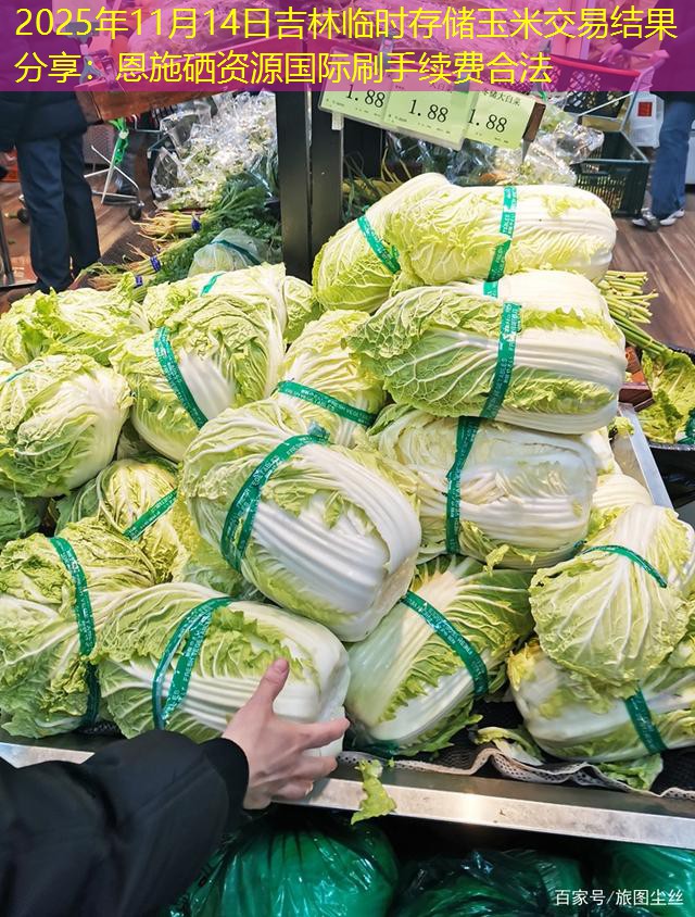 2025年11月14日吉林临时存储玉米交易结果分享