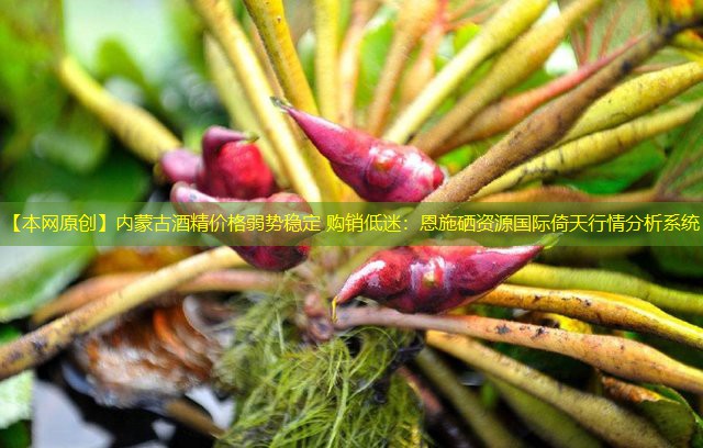 【本网原创】内蒙古酒精价格弱势稳定 购销低迷