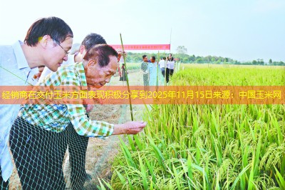 经销商在交付玉米方面表现积极分享到2025年11月15日来源：中国玉米网