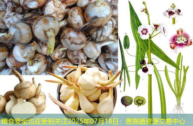 粮食安全也应受到关注2025年07月18日