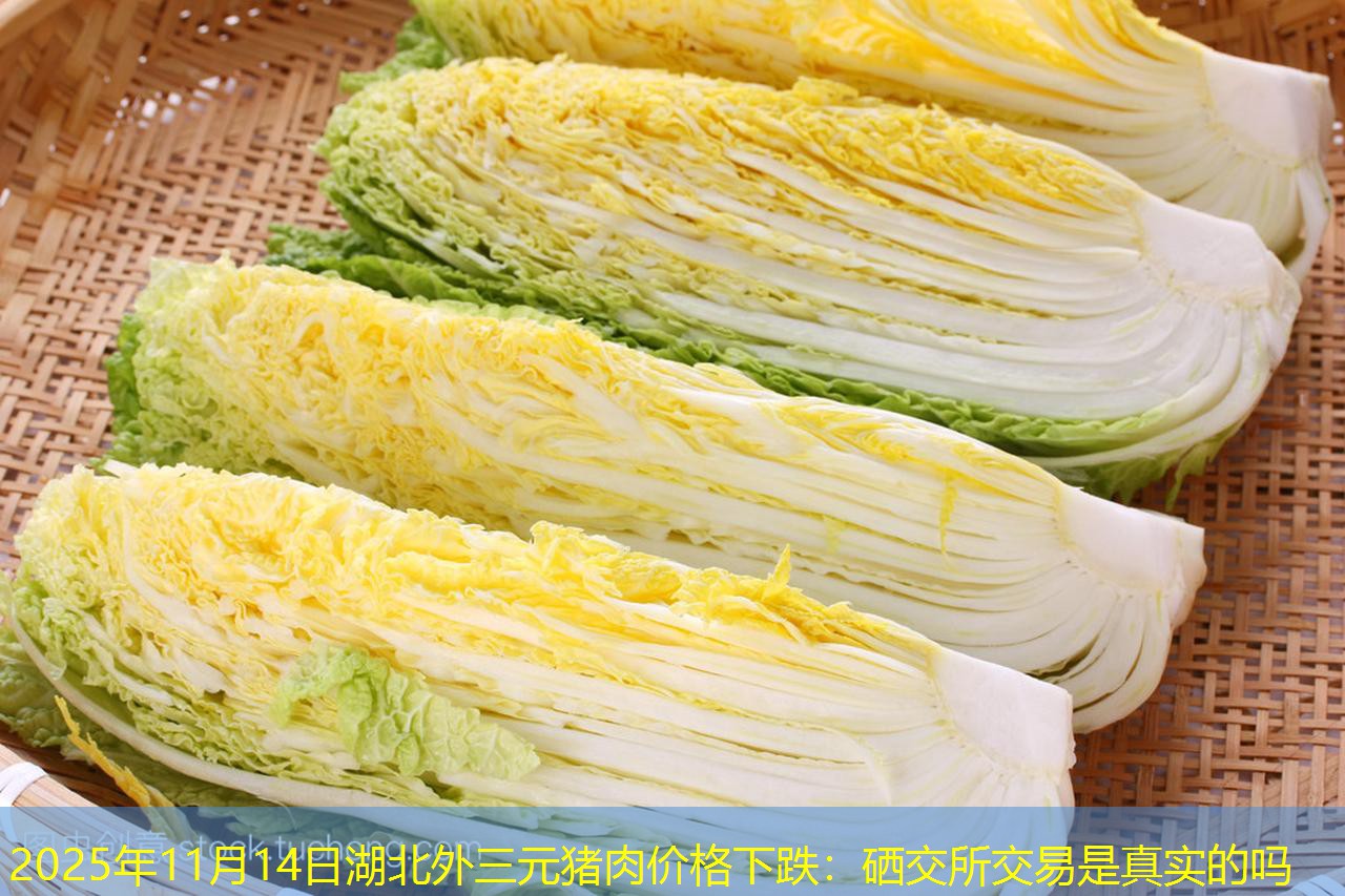 2025年11月14日湖北外三元猪肉价格下跌