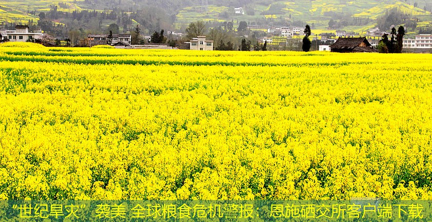 “世纪旱灾”袭美 全球粮食危机警报