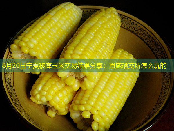 8月20日宁夏移库玉米交易结果分享