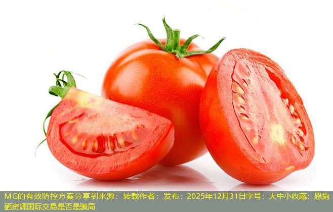 MG的有效防控方案分享到来源：转载作者：发布：2025年12月31日字号：大中小收藏