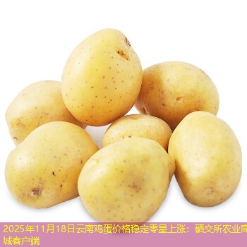 2025年11月18日云南鸡蛋价格稳定零星上涨