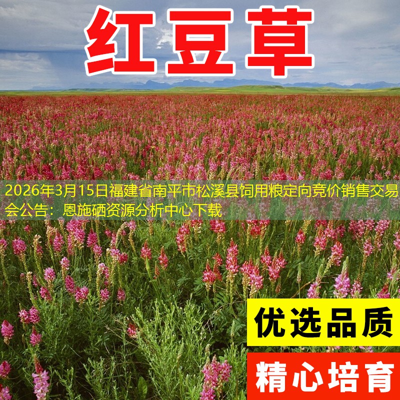 2026年3月15日福建省南平市松溪县饲用粮定向竞价销售交易会公告