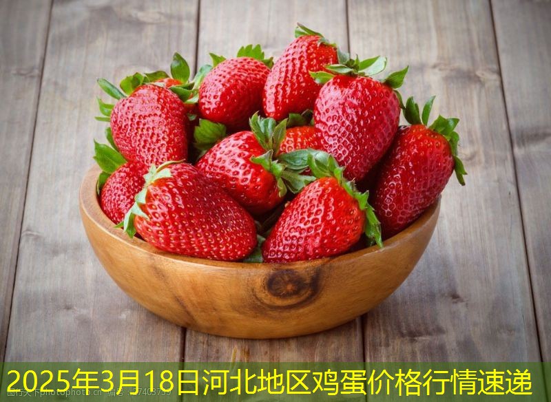 2025年3月18日河北地区鸡蛋价格行情速递