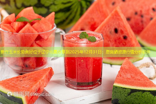 新作玉米长势良好位于辽宁北票分享到2025年12月31日