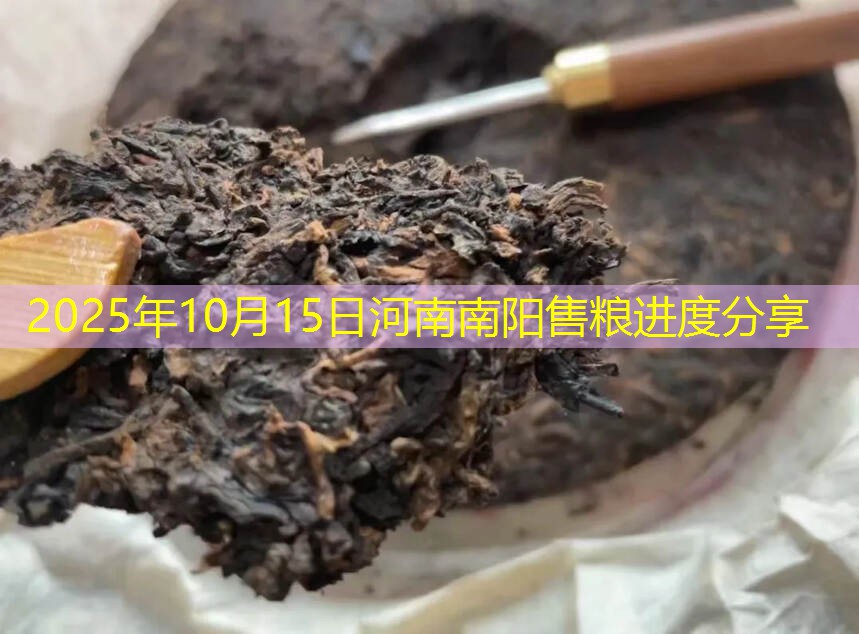 2025年10月15日河南南阳售粮进度分享