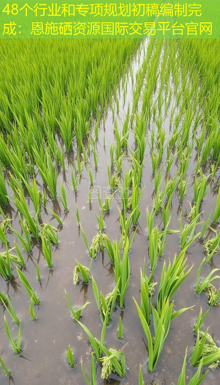 48个行业和专项规划初稿编制完成