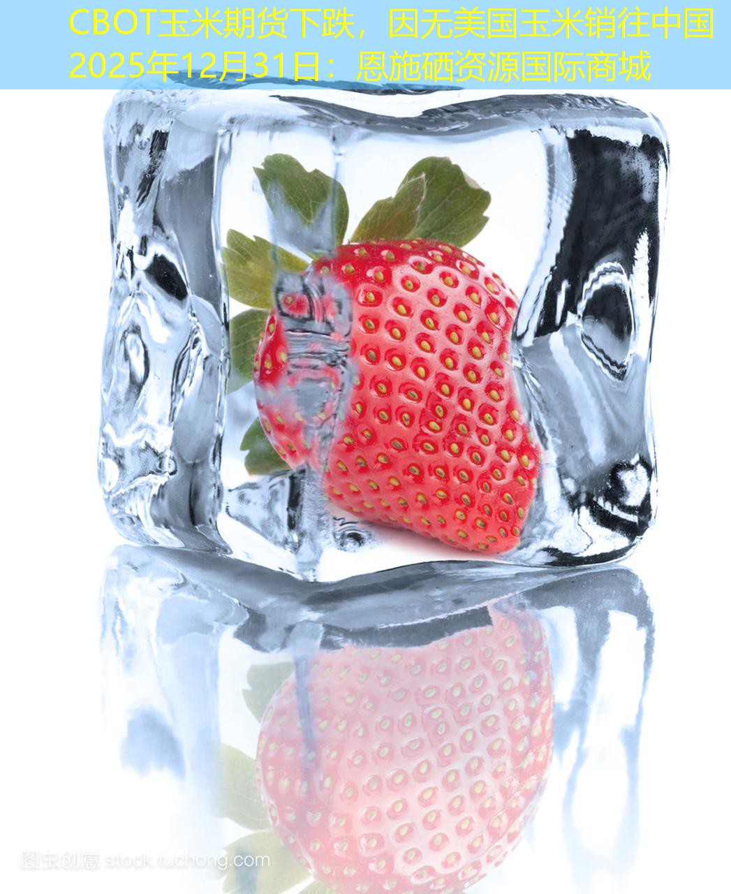 CBOT玉米期货下跌，因无美国玉米销往中国2025年12月31日