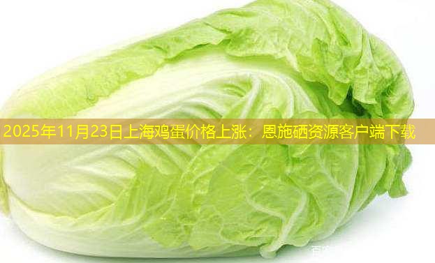 2025年11月23日上海鸡蛋价格上涨