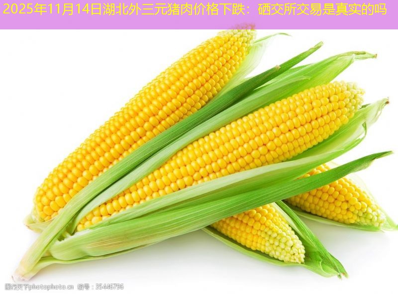 2025年11月14日湖北外三元猪肉价格下跌