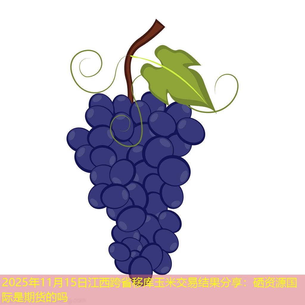 2025年11月15日江西跨省移库玉米交易结果分享