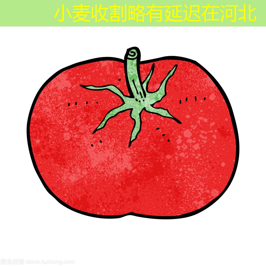 小麦收割略有延迟在河北