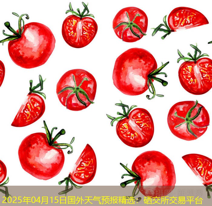 2025年04月15日国外天气预报精选