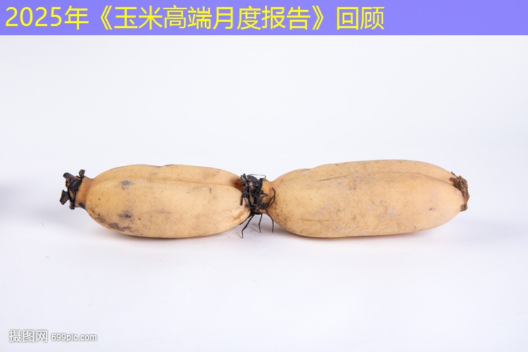 2025年《玉米高端月度报告》回顾