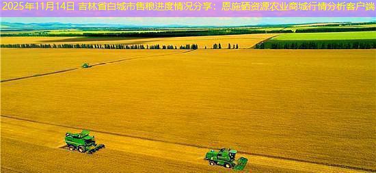 2025年11月14日 吉林省白城市售粮进度情况分享