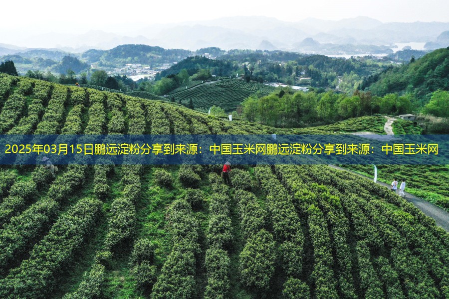 2025年03月15日鹏远淀粉分享到来源：中国玉米网鹏远淀粉分享到来源：中国玉米网