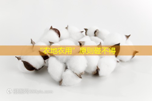 “农地农用”原则碰不得