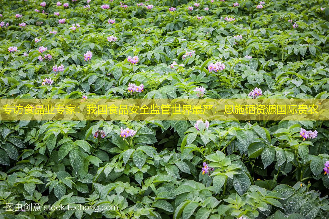 专访食品业专家：我国食品安全监管世界最严