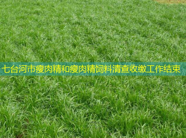 七台河市瘦肉精和瘦肉精饲料清查收缴工作结束